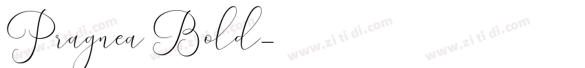Pragnea Bold字体转换